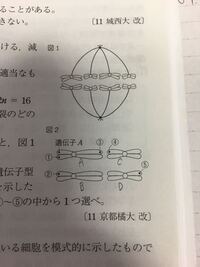 至急 生物の遺伝問題の答え方 問 ヒトの耳垢には 湿ったウエットと乾 Yahoo 知恵袋