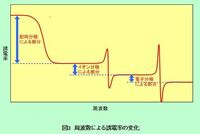 誘電率の周波数特性のグラフについて添付したグラフにあるようにイオン Yahoo 知恵袋