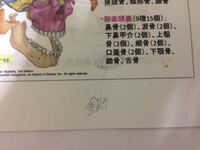左に金 かねへん 右に秋と書く漢字は何と読みますか Jis第1 Yahoo 知恵袋
