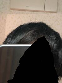 高1の男です 高1でこの枝毛はやばいですか 毎日ヘアセットで Yahoo 知恵袋