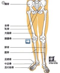 細いの基準 私は周りから 細い とか 脚綺麗 とよく言われるんですが お世 Yahoo 知恵袋