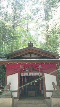 パワースポットと言われる神社で撮った写真に緑の線状光が写りました。

これは なんなのか教えてください！それと、持っていても大丈夫でしょうか？ 