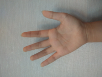 オーラが見える方 鑑定お願いします この写真からオーラ鑑定をすることは Yahoo 知恵袋