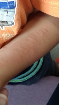 口げんかで使えるちょっと難しい言葉 けんかするとみんな うざい Yahoo 知恵袋