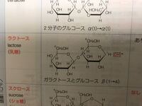 A型はoh基が下で B型はoh基が上だと勉強しました ガラクトースの1 Yahoo 知恵袋