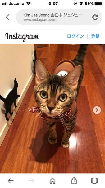 愛猫家のジェジュンさんという方がいらっしゃるみたいなのですがそ Yahoo 知恵袋