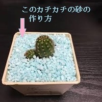 陶器鉢に植えた観葉植物が重いのです 植え替えを機に 軽くしたいです よく Yahoo 知恵袋