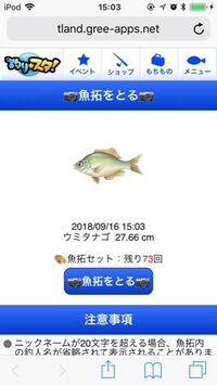 ウミタナゴって何で食すのがおいしいですか あくまで好みの問題です Yahoo 知恵袋