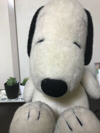 人形の洗い方を教えてください タグには何も買いてありませんでした Yahoo 知恵袋