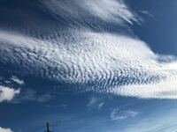 この写真は うろこ雲ですか ひつじ雲ですか いわし雲ですか Yahoo 知恵袋