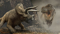 ティラノサウルス対トリケラトプスについて恐竜のドキュメンタリーや映画ではティ Yahoo 知恵袋