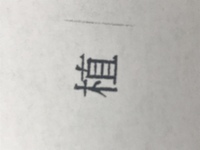 木 弟と漢字で書いて何て読むのでしょうか 村山由佳さんの 天使 Yahoo 知恵袋