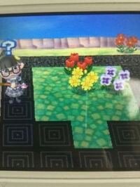 ３ｄｓ とびだせどうぶつの森 について質問です 家具のトランクをマイデザインで Yahoo 知恵袋