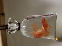 金魚絵師深堀隆介の金魚の絵を見に行きましたがこの写真のビニールは本物のビニー Yahoo 知恵袋