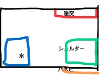 ボールパイソンの夜のケージ内の温度って何度くらいが適温なんですか Yahoo 知恵袋