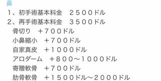 バウムの鼻整形の名前について バウムの料金表を見ていたのですが 日本でい Yahoo 知恵袋