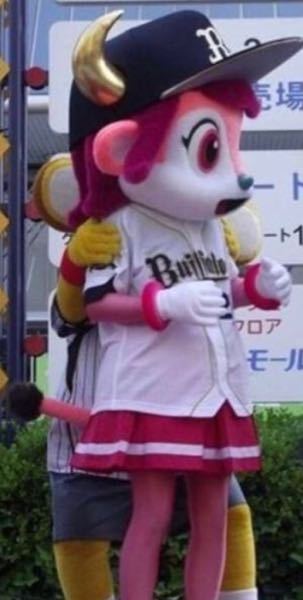 阪神タイガースのキー太って可愛いよな それキー太じゃなくない Yahoo 知恵袋