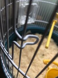 鳥かごの色がはげてきてさびているのですがそのまま使うとしたら色をペンキ Yahoo 知恵袋