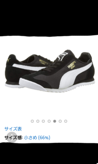 資源 静けさ チャンバー Puma スニーカー ダサい Beyoglugsm Net