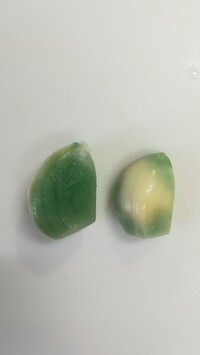 謎の緑の粉が発生 生のにんにくを皮のまま半年以上放置していたのですが Yahoo 知恵袋