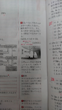 Caco3 H2o Co2 Ca Hco3 2 の反応の時 鍾乳洞の生成 Yahoo 知恵袋