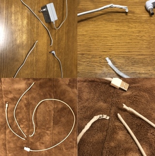 飼い猫 7ヶ月 未去勢 がコードを噛みちぎります 最初はスマホ充電 Yahoo 知恵袋