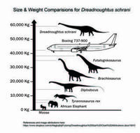 30ｍ以上の巨大カミナリ竜 竜脚下目 で最速の恐竜はどれ この中ではどれが一 Yahoo 知恵袋