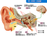 ä¸­å­¦é«˜æ ¡ã®ã¨ãç†ç§'ã§ äººé–