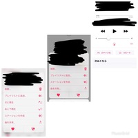Iphoneのitunesで歌詞を表示する方法を教えてください 画像の通り調 Yahoo 知恵袋