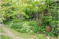 雑木林風の下草でお勧めを教えて下さい ナツハゼとムラサキシキブの下草で悩 Yahoo 知恵袋