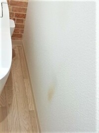 トイレの壁紙の汚れ 膝のこすれ写真のトイレの壁紙の汚れなんですがトイレの横 Yahoo 知恵袋