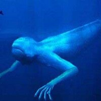 この深海魚は本当に存在するのでしょうか？

拾い画像です。
CGでなければ、いったい何と言う名前の深海魚なのでしょう？
ちょっと不気味ですよね・・ 