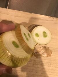 タマネギの緑色のところは捨てますか カレーを作る時にタマネギ Yahoo 知恵袋