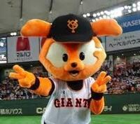 巨人嫌いな人でも ジャビットはスキですか ジャビットはタイガ Yahoo 知恵袋