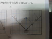 中3です 分力の作図の問題で平行四辺形を書くタイプの問題に疑問があります Yahoo 知恵袋