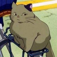 シャム猫を飼っている方に質問です 以前 ものすごく怒ったシャム猫の目 Yahoo 知恵袋