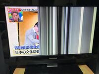 テレビが半分映りません - 原因は分からないし液晶に傷がいってるわ