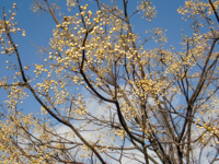 八日目の蝉のラストで 小池栄子がエリナに 赤ちゃんを お母 Yahoo 知恵袋