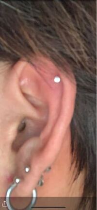 先日ヘリックスを開けました ヘリってキャッチが見えないものですか 見え Yahoo 知恵袋