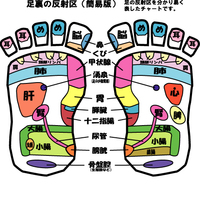 足裏にはつぼが有るそうですが 添付したつぼ位置 膵臓の箇所 左足です 右足部 Yahoo 知恵袋