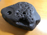 高額で売れるエビ 友人が 水をきれいにしてくれるエビ を繁殖してネット Yahoo 知恵袋