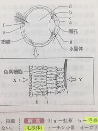 高校生になります 高校は成績でクラス分けされると聞きましたが本 Yahoo 知恵袋