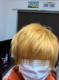 この状態からもう1回メガメガブリーチしてからマニパニのヴァージンスノーを入れ Yahoo 知恵袋