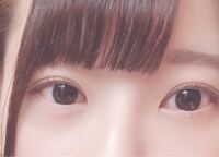 つり目ですか猫目ですか 蒙古襞はつよいですか あとこの目にあ Yahoo 知恵袋