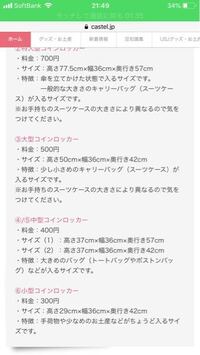 ディズニーランド シーで乗り物に乗る時に手荷物はどうすれば良いで Yahoo 知恵袋