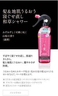 スタイリング剤と寝ぐせ直しの違いはなんですか よくスタイリング剤をかけ Yahoo 知恵袋