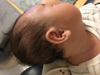 頭ががっぱい ってなにかわかりますか 絶壁の反対と聞きましたが Yahoo 知恵袋