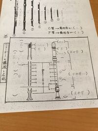 洋裁の部位名称のことで教えてください 襟が裏地と打ち合わせの丸首のデ Yahoo 知恵袋