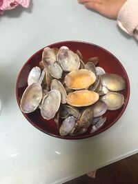 食べた後の アサリや牡蠣の貝殻は 何かの役に立ちますか 肥料や餌など Yahoo 知恵袋