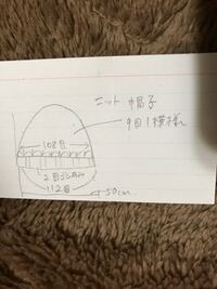 猫用帽子の作り方を教えてください 調べたのですがニット帽ばかりだっ Yahoo 知恵袋